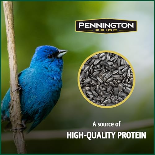Wild Bird Seed for Outside Feeders, High-Protein, No-Waste, 15-lb Bag F570741