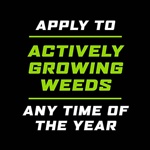 Weed and Grass Killer Concentrate for Landscape Beds, Patios, 32 oz I259