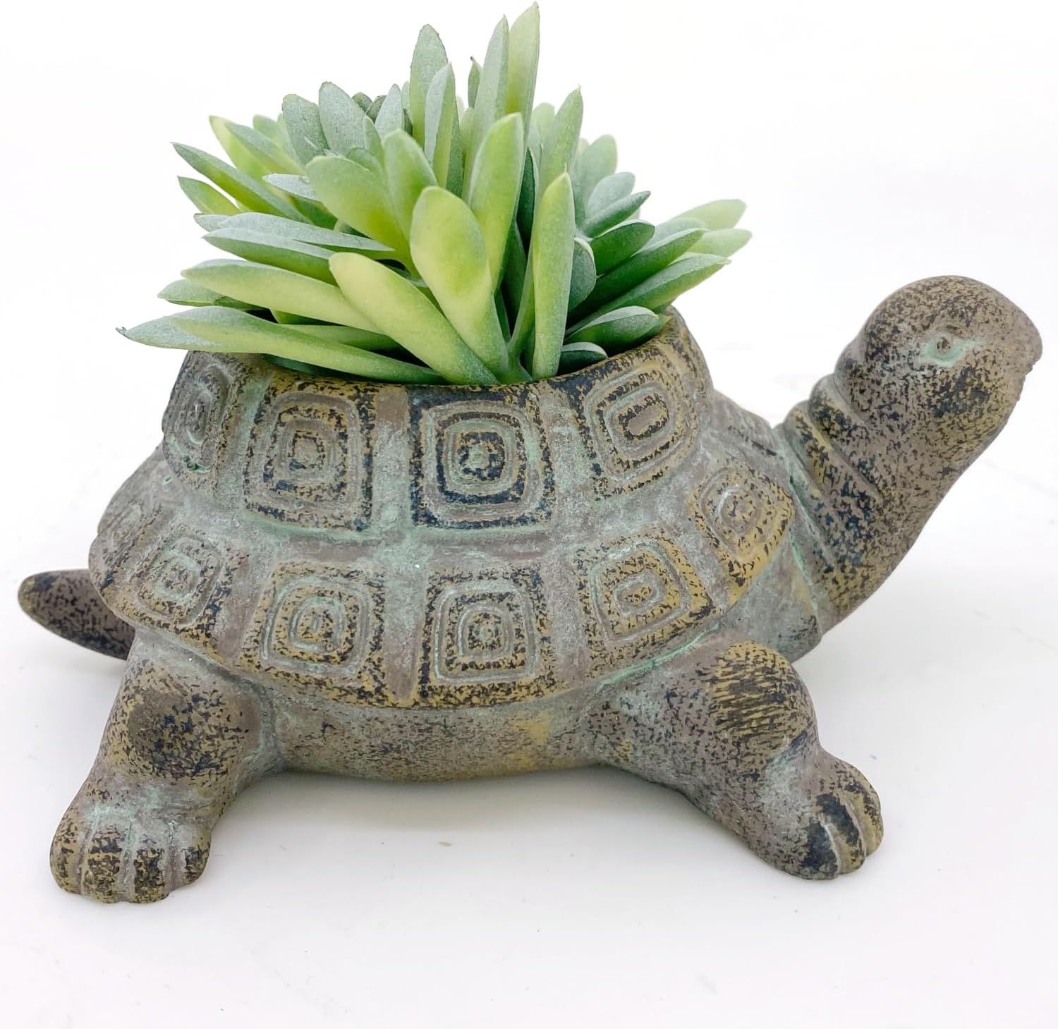 Small Cement Turtle Planter for Succulents D152