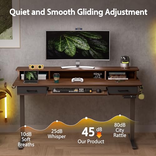 Electric Standing Desk with 2 Drawers, Height Adjustable for Home Office B137