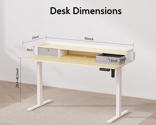Electric Standing Desk with 2 Drawers, Height Adjustable for Home Office B137