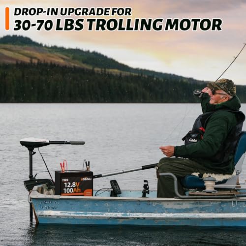 12V 100Ah Group 24 LiFePO4 Battery with 100A BMS, Deep Cycle for RV, Marine, Solar L361