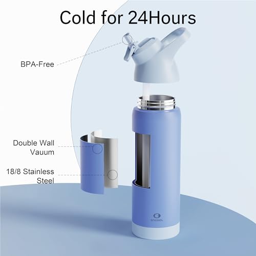 Insulated Stainless Steel Water Bottle with Straw, 24 oz X205853