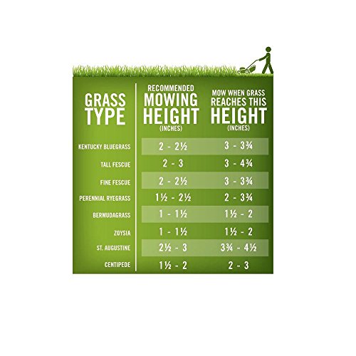 Annual Ryegrass for Overseeding Warm Season Lawns, 10 lb Y82382