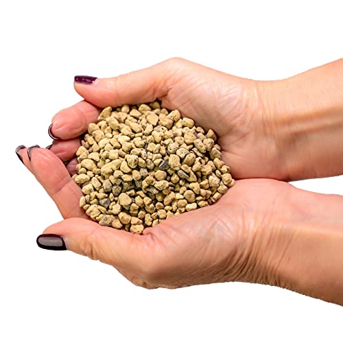 Akadama for Bonsai and Succulent Soil, Small Grain, 2 Quart T431886