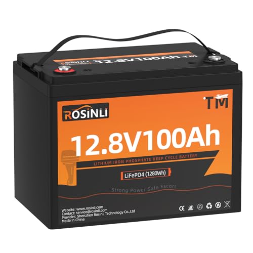 12V 100Ah Group 24 LiFePO4 Battery with 100A BMS, Deep Cycle for RV, Marine, Solar L361
