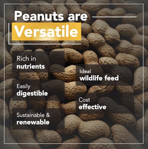 Raw Peanuts for Wildlife, 12 LB Pail X231042