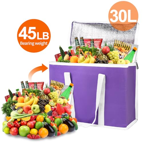 Insulated Food Delivery Bag Hot Cold Meal Carrier Cooler Tote K646948