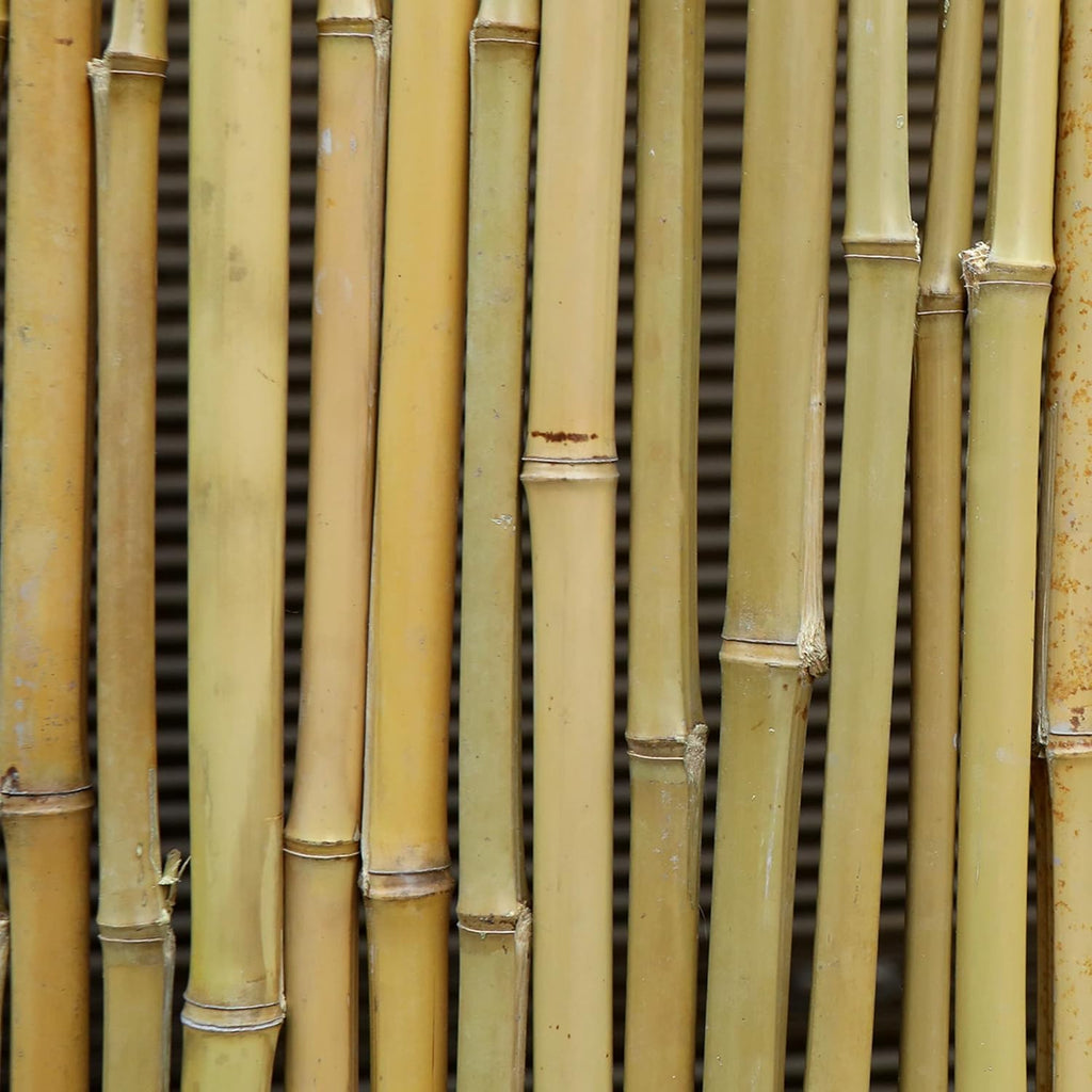 Bamboo Fence 6ft High Outdoor Privacy Screen Rolled Natural Fencing 8ft x 6ft W595
