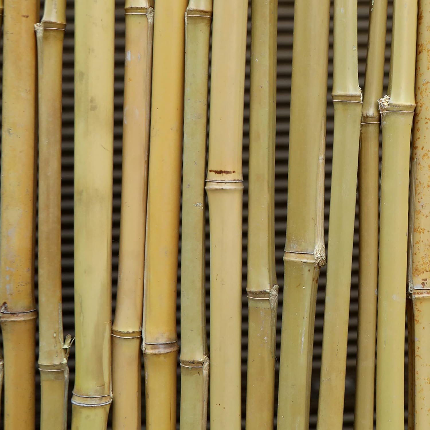 Bamboo Fence 6ft High Outdoor Privacy Screen Rolled Natural Fencing 8ft x 6ft W595