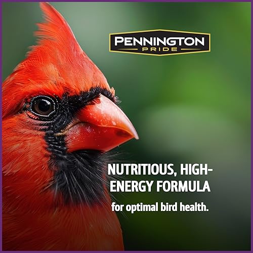 Wild Bird Seed for Outside Feeders, High-Protein, No-Waste, 15-lb Bag F570741