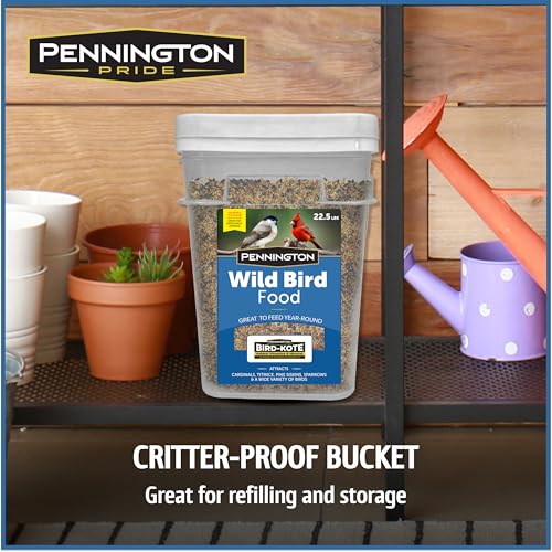 Wild Bird Seed for Outside Feeders, High-Protein, No-Waste, 15-lb Bag F570741
