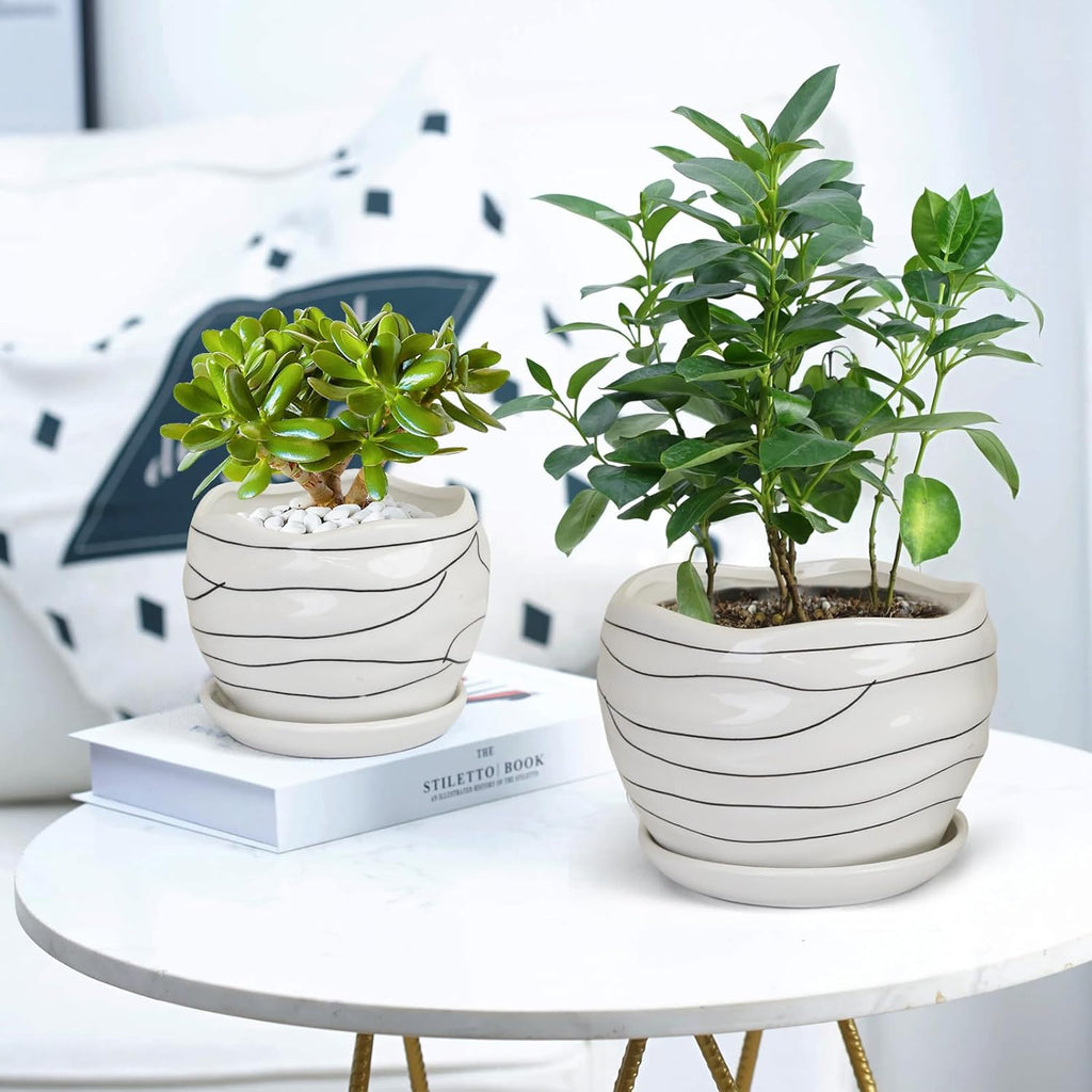 Ceramic Planter Set, 3 Sizes, Indoor Outdoor with Drainage Hole and Saucer T419377