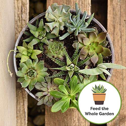 Succulent and Cactus Fertilizer, 5oz Bag for Live Plants R747097