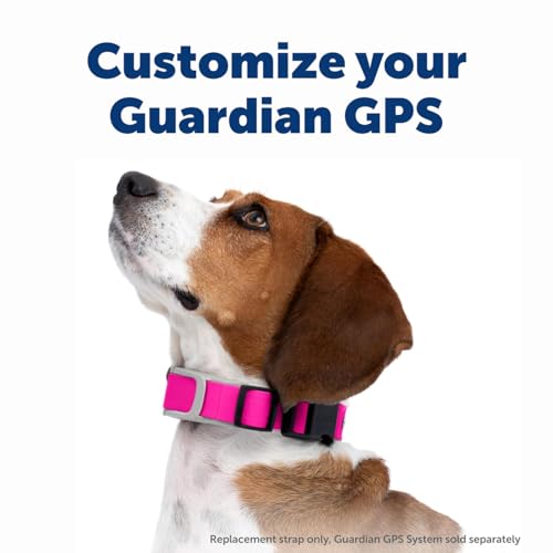 GPS Dog Fence for Yards 3/4 Acres or Larger, Wireless Collar System Y91842