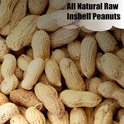 Wildlife Shelled Peanuts, 10 lbs for Birds and Squirrels Y354