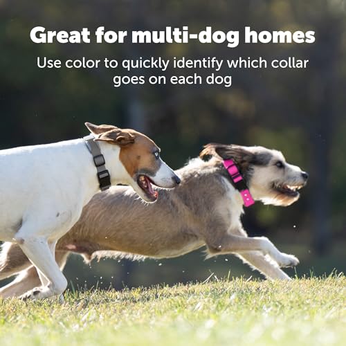 GPS Dog Fence for Yards 3/4 Acres or Larger, Wireless Collar System Y91842