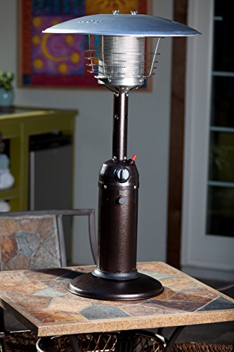 Portable Patio Heater Outdoor Tabletop Propane 10,000 BTU Stainless Steel Q1747