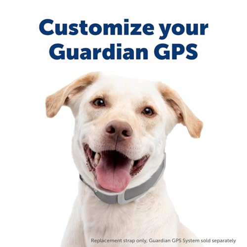 GPS Dog Fence for Yards 3/4 Acres or Larger, Wireless Collar System Y91842