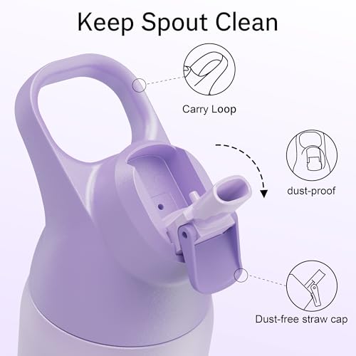 Insulated Stainless Steel Water Bottle with Straw, 24 oz X205853