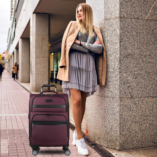 Softside Expandable Carry On Luggage with Spinner Wheels and TSA Lock, 20-Inch R869