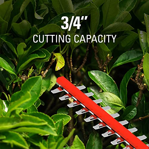 Cordless Hedge Trimmer with Battery and Charger Y81508
