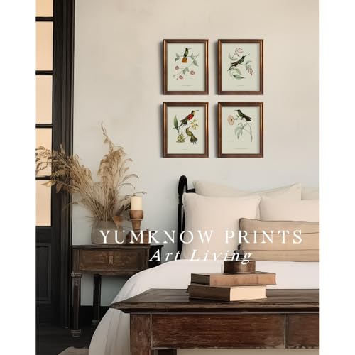 Hummingbird Botanical Flower Wall Art Poster W529066