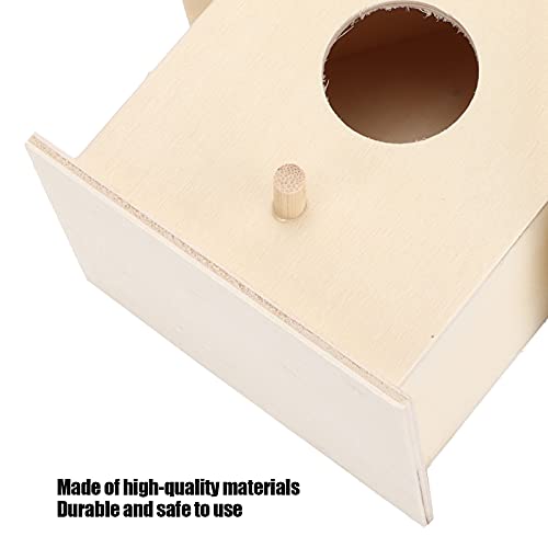 Small Hanging Wooden Bird House Kit for Kids DIY Outdoor Nest P17603