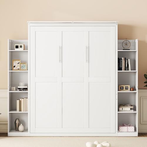 Queen Size Murphy Bed with Cabinet and LED Lights W119811