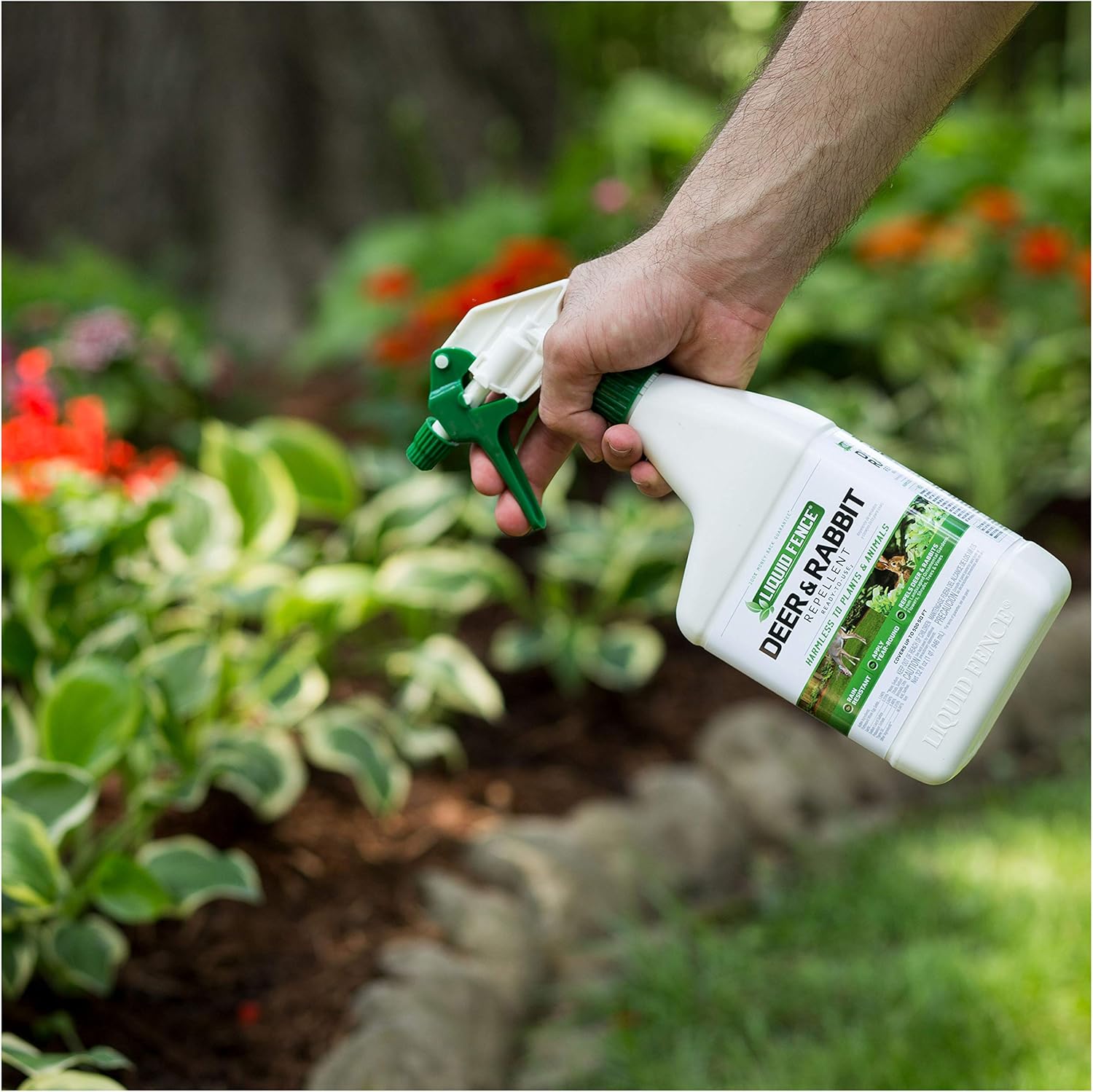 Deer & Rabbit Repellent Ready-to-Use, 32 oz G89165