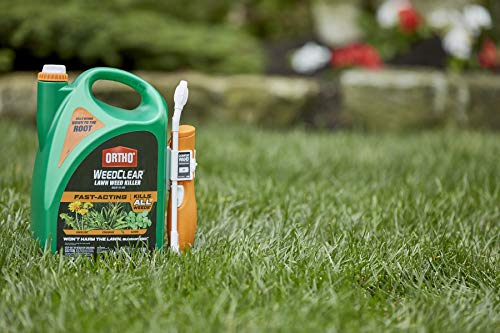 Weed Killer for Northern Lawns, Ready to Use, 1.33 gal Y780099