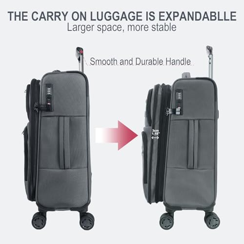 Softside Expandable Carry On Luggage with Spinner Wheels and TSA Lock, 20-Inch R869