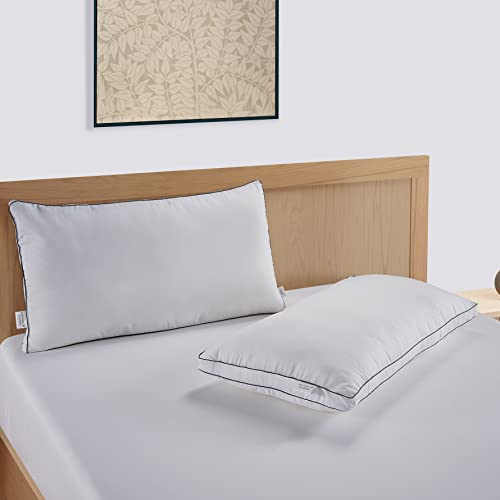Bed Pillows King Size Set of 2 - Soft Gusseted Pillow for Sleepers - Down Alternative - White N2389