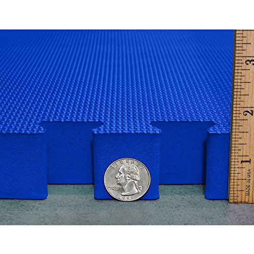 Interlocking EVA Foam Mats for Wrestling, MMA & Gymnastics - 1.5" Thick, 2'x2' Tiles G335676