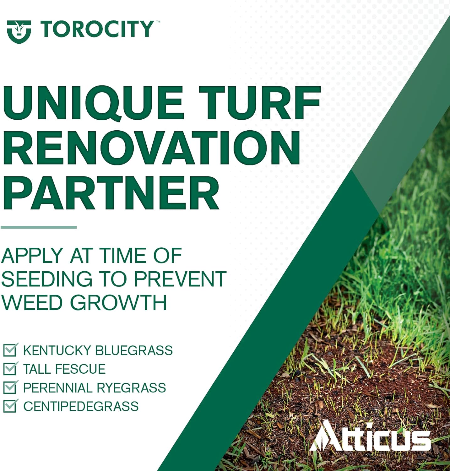 Turf Herbicide Mesotrione Concentrate, Selective Weed Killer for Lawns A287031