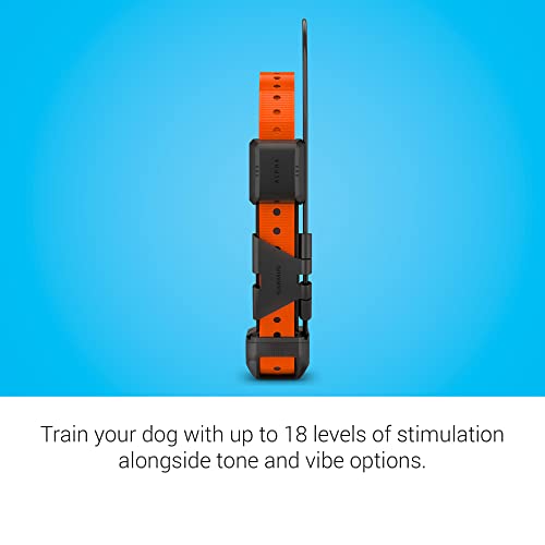GPS Dog Tracking and Training Collar Z564136