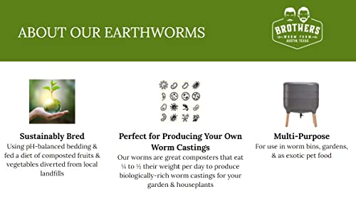 1/2 lb (~500) Red Wiggler Compost Worms for Home Composting and Gardens T98163