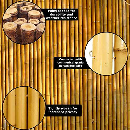 Natural Bamboo Fencing Garden Screen Rolled Fence Panel 6 ft H x 8 ft L D6994
