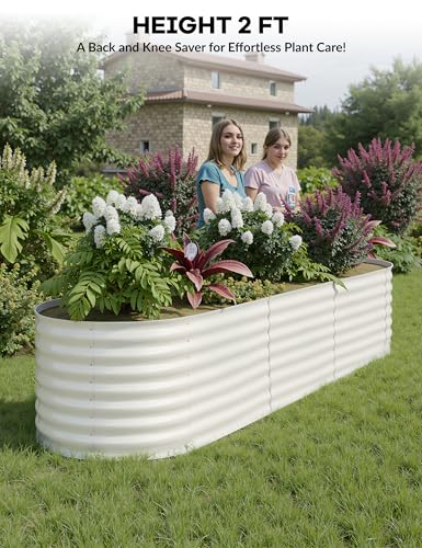 Galvanized Raised Garden Bed for Vegetables, Flowers, Outdoor D165