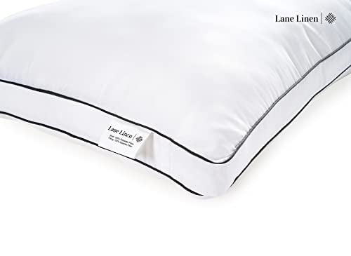 Bed Pillows King Size Set of 2 - Soft Gusseted Pillow for Sleepers - Down Alternative - White N2389