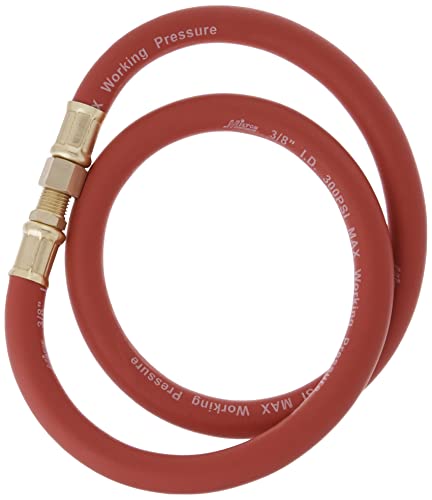 Steel Dual Arm Air Hose Reel with Leader Hose V856
