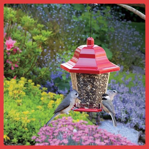 Wild Bird Seed for Outside Feeders, High-Protein, No-Waste, 15-lb Bag F570741