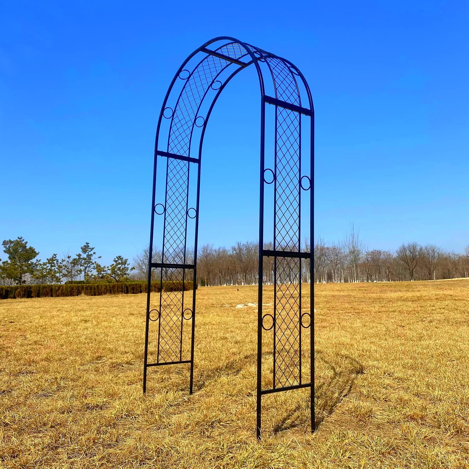 Metal Garden Arch Trellis for Climbing Plants, Black B6354