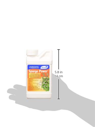 Spurge Power Herbicide, One Pint S23670