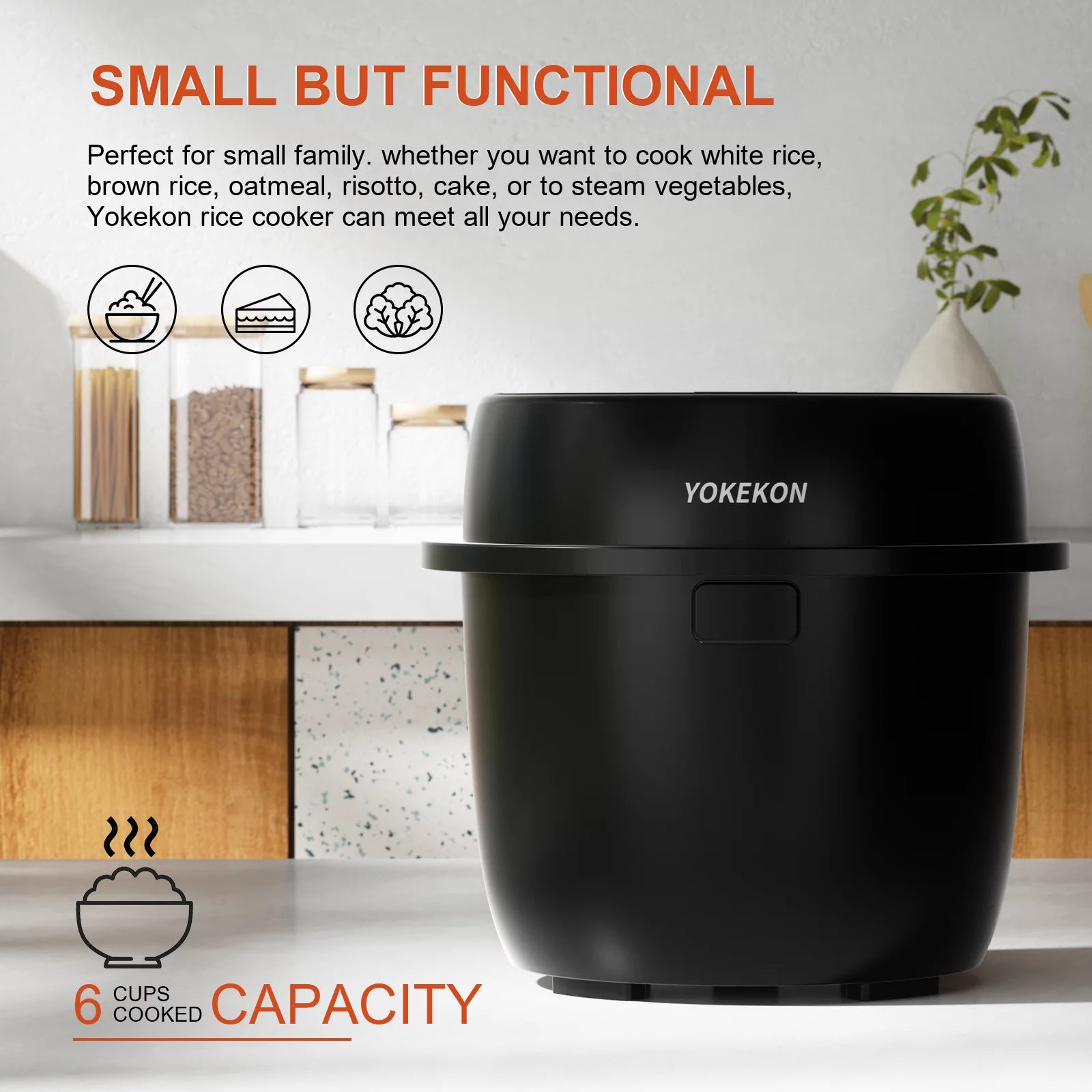 3-Cup Rice Cooker with Steamer and Delay Timer R8089