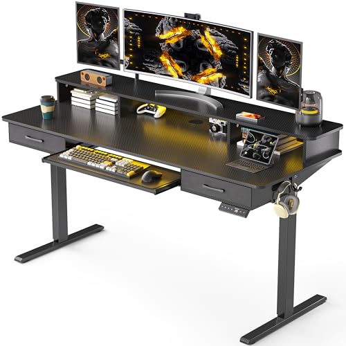 Electric Standing Desk with 2 Drawers, Height Adjustable for Home Office B137
