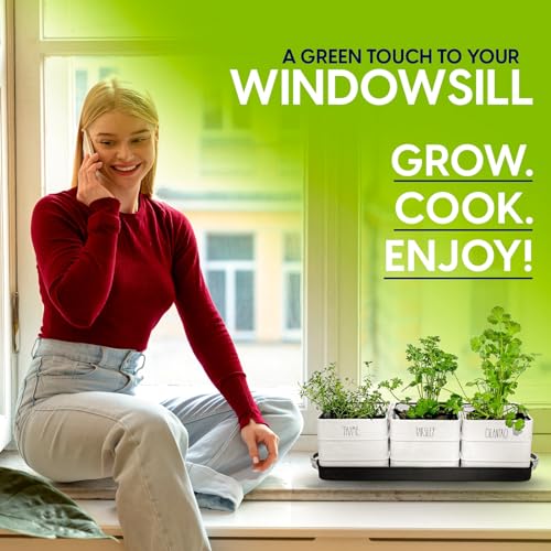 Herb Pot Planter Set with Tray for Indoor or Outdoor Use, White Metal Q3093
