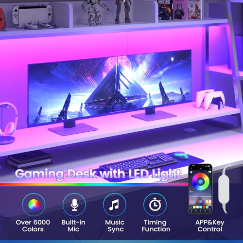 Gaming Desk with LED Lights, Hutch and Storage Shelves, Black R364
