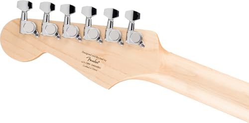Stratocaster Electric Guitar Bundle with Amplifier, Gig Bag, Strap, Cable, Picks, and DVD S5583