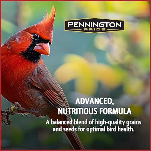 Wild Bird Seed for Outside Feeders, High-Protein, No-Waste, 15-lb Bag F570741